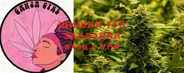 марки nbome Гусь-Хрустальный