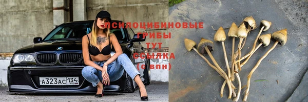 кокаин Гусев