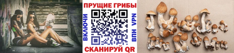 Галлюциногенные грибы MAGIC MUSHROOMS Астрахань