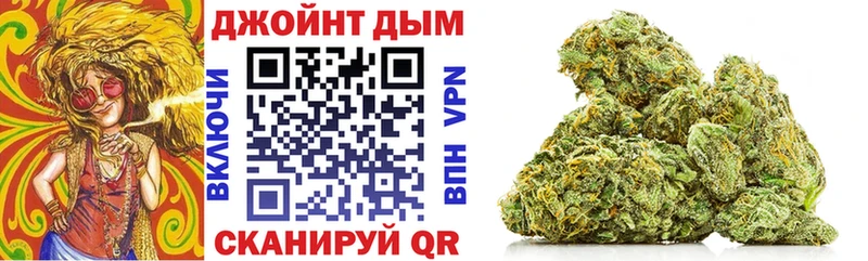 Конопля сатива Астрахань